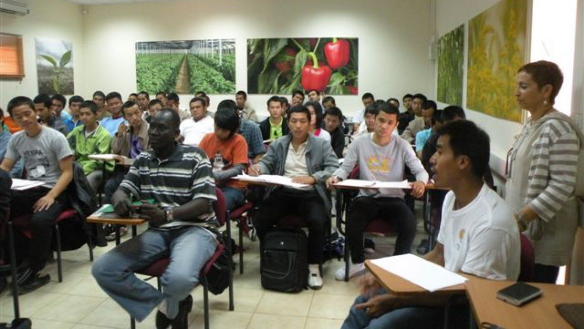 סטודנטים מכל העולם משתלמים בחקלאות במרכז הבינלאומי למשתלמים בערבה