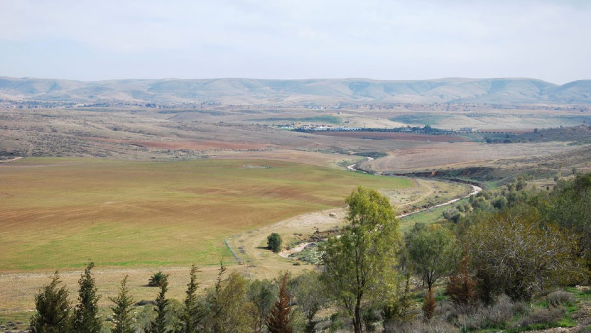 חוות דרומי מיער מיתר צילום-ענת רסקין