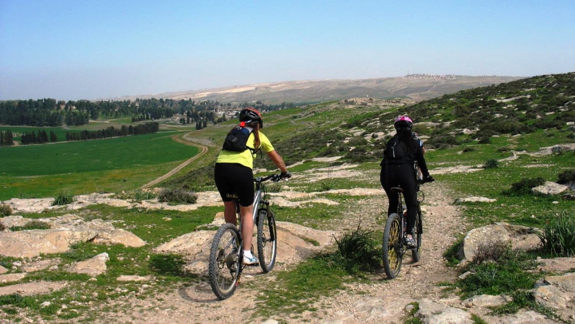 רוכבי אופניים ביער להב צילום-מ.א.בני שמעון